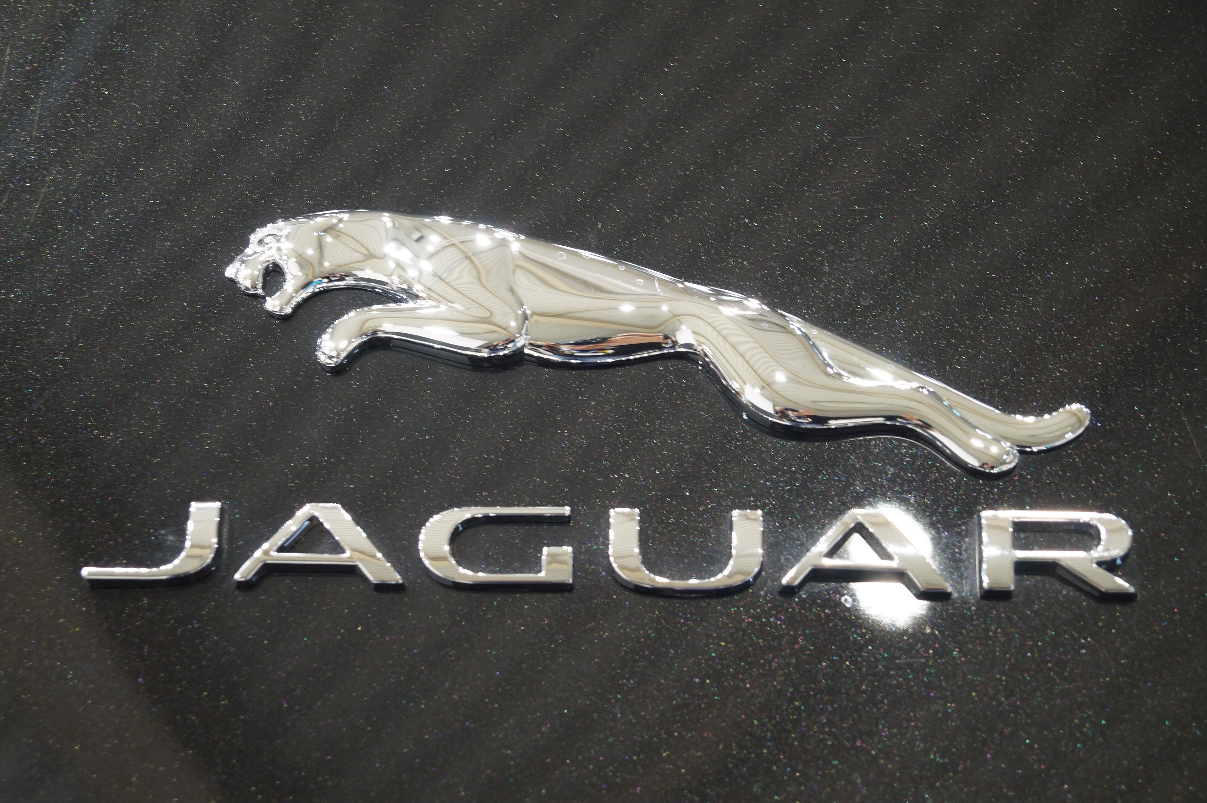 Jaguar logosu